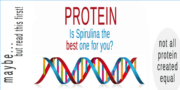 Spirulina – the Ultimate Ocean Protein